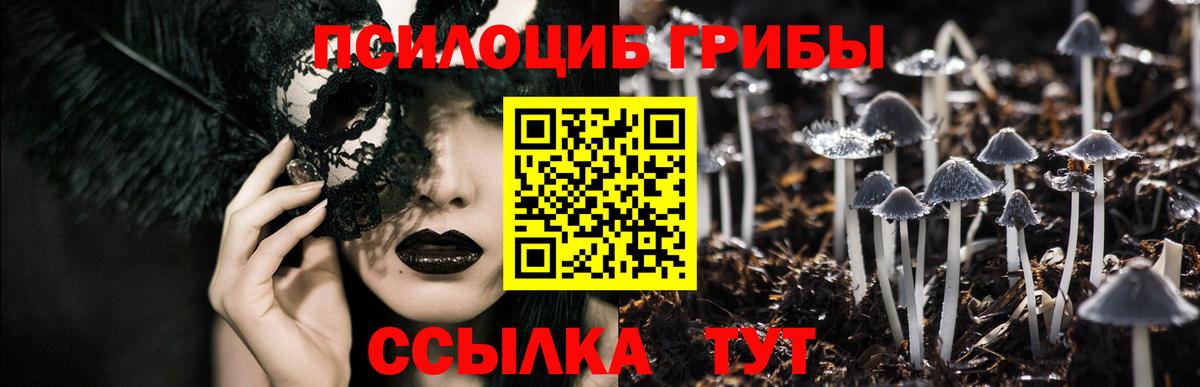 Галлюциногенные грибы Cubensis Среднеуральск